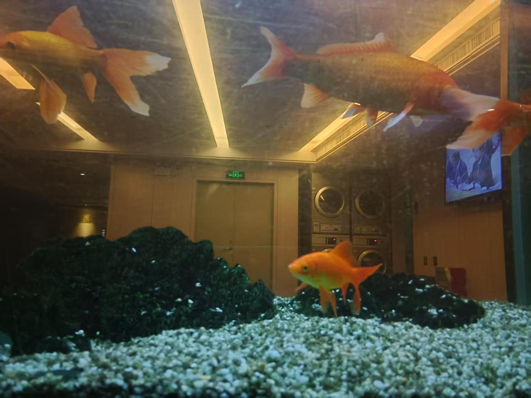 Paco Hotel Tianhe Coach Terminal Metro Satation Guangzhou-Free Shuttle Bus For Canton Fair Eksteriør bilde